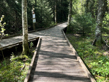 23-05-27 10-38-06 5717